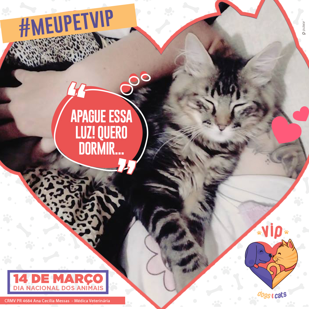 02_Post_MOLDURA_AnaSiqueira_150319
