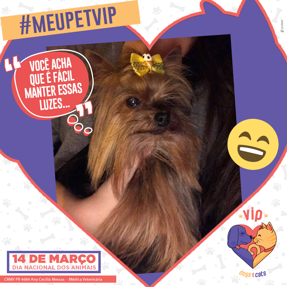 18_Post_MOLDURA_Luana-Beatrizpet2_150319