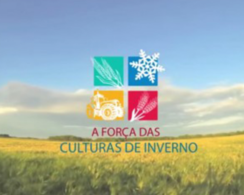 Culturas de Inverno Cevada – RPC TV